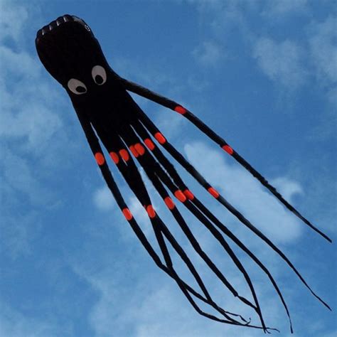 M Octopus Kite Up There Kites New Zealand S Northernmost Kite Shop