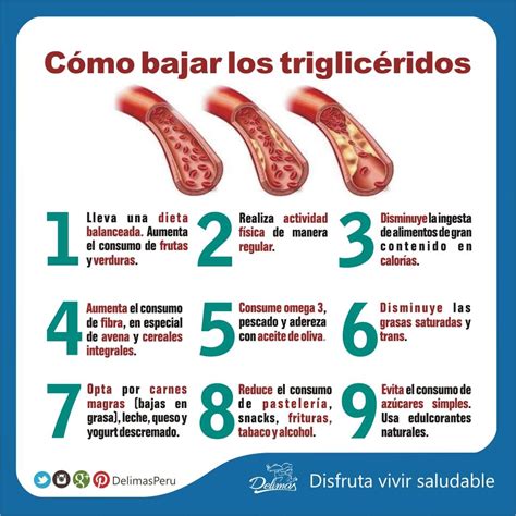 9 Cosas Que Debes Hacer Para Bajar Los Triglicéridos Blog Vive Sano