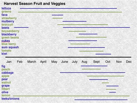 Harvest Season - Suburban Permaculture