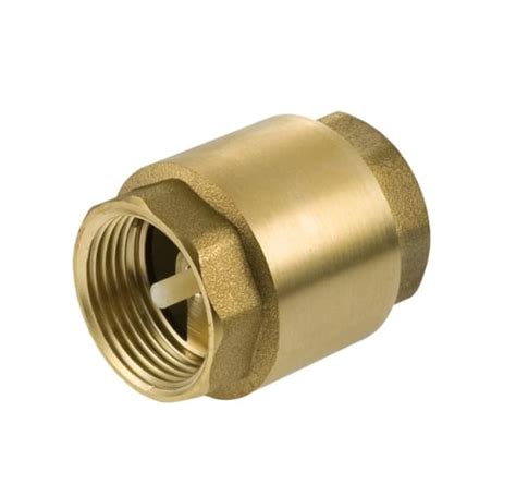 Brass Spring Loaded Check Valve Colglo