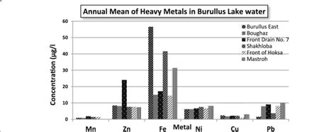 Annual Mean Of Heavy Metal Concentration μgl In Water At Each Download Scientific Diagram