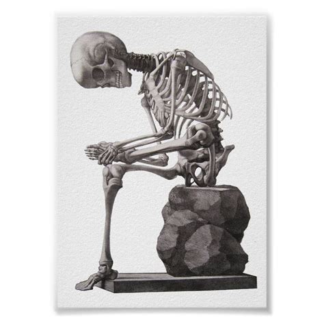 Human Skeleton Sitting Anatomy science Art Poster | Zazzle | Science art, Poster art, Art