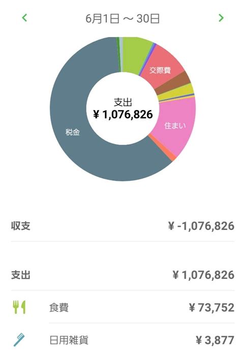 2023年6月 家計簿 世帯年収2000万→700万 夫2024年3月早期退職済