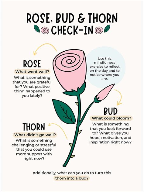 Rose Bud And Thorn Check In Art Board Print For Sale By Plant Kind