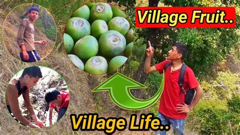 Jungle Fruit Life In Jungle Find Fruit Nepali Village Life Village