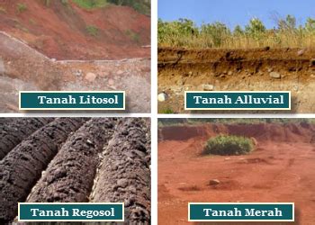 ekogeo jenis jenis tanah  indonesia
