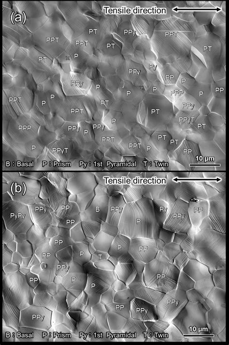 SEM Images Of Ti 30 After Deformation By Approximately 15 Plastic