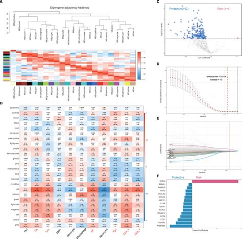 Frontiers Construction And Validation Of An Immune Infiltration