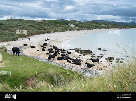 Balnakeil Strand Fotos Und Bildmaterial In Hoher Aufl Sung Alamy