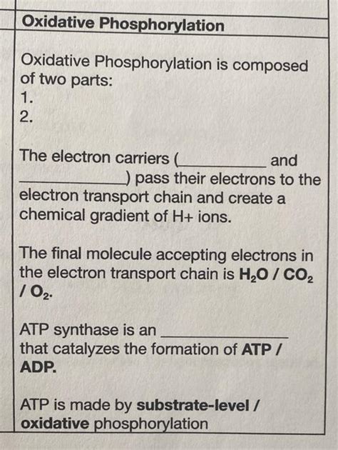 Solved Oxidative Phosphorylation Oxidative Phosphorylation | Chegg.com 