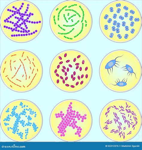 Stylized Image Of Different Types Of Bacteria Stock Vector