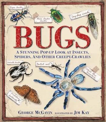 Bugs A Stunning Pop Up Look At Insects Spiders And Other Creepy