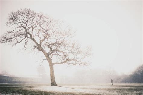 Bleak Winter Landscape Photography Photograph By Debra Cox Fine Art