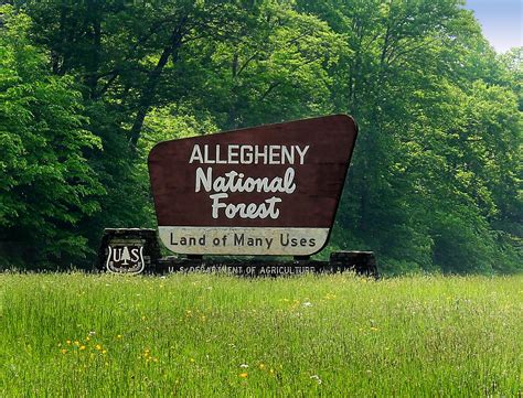 Allegheny National Forest Revisited Allegheny National F Flickr