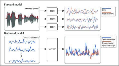 Diagram Of The Temporal Response Function Estimation In The Forward And