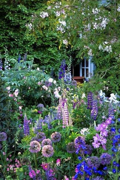 Jardin fleuri