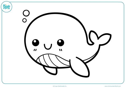 Animales Para Colorear Acuaticos 8
