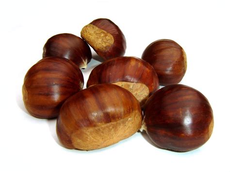 Chestnuts 4 Free Photo Download | FreeImages