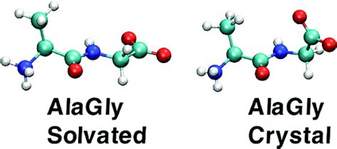 Solvation And Hydrogen Bonding In Alanine And Glycine Containing