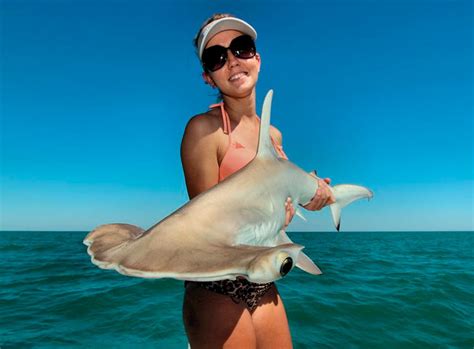 Shark Fishing: A Guide to Species – World Wide Sport Fishing Charters