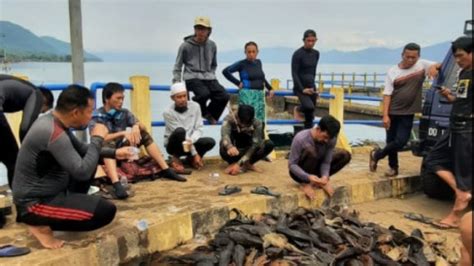 Berburu Ikan Predator Pemdes Sorowako Turunkan Penyelam