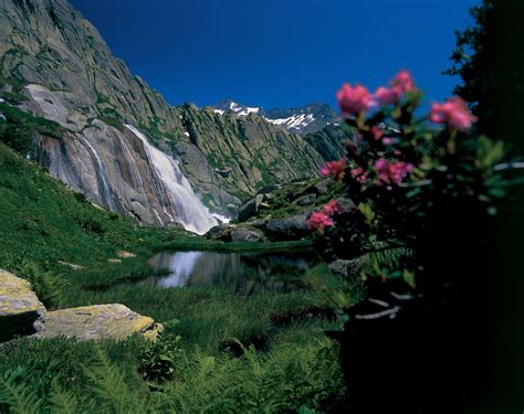 Grimsel Pass | Switzerland Tourism