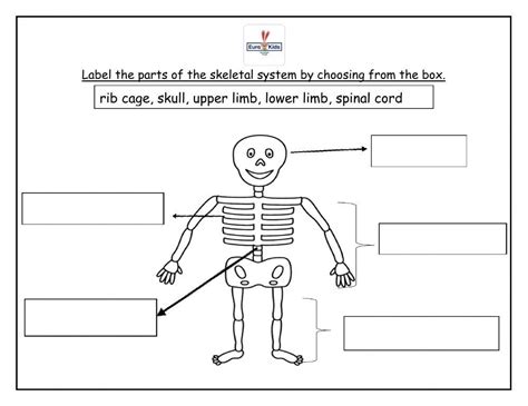 Evs Online Pdf Exercise For Ukg Live Worksheets