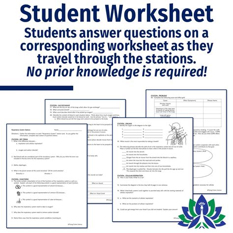 Respiratory System Stations Activity Flying Colors Science