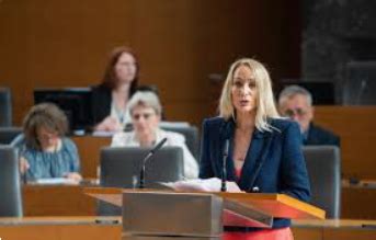 Člani družine podpredsednice DZ Meire Hot pretepli in obrcali gasilca e Maribor