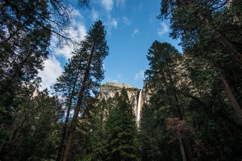 Yosemite Valley And Bridalveil Fall At Sunset Stock Photo - Image of capitan, landmark: 79476650