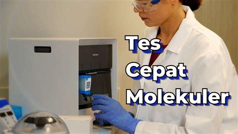 Tes Cepat Molekuler Tcm Solusi Pemerintah Ri Menangani Tb