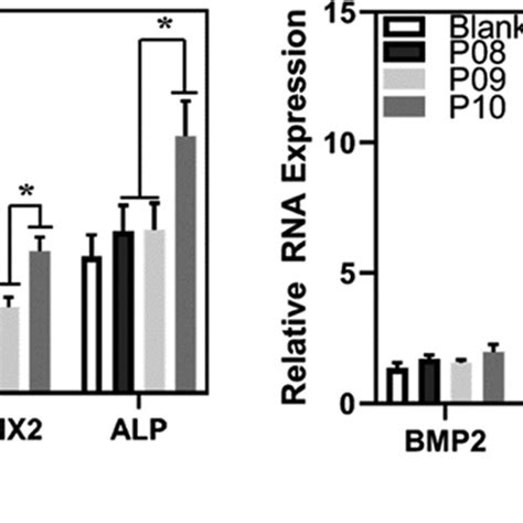 Expression Level Of Genes Related To Osteogenesis On The 7th And 14th