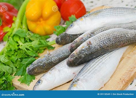 Mugil cephalus fish stock image. Image of fish, wooden - 39118549