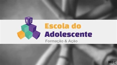 Secretaria De Educa O Adere Ao Programa Escola Do Adolescente