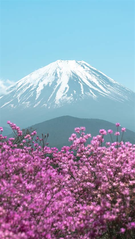 CurrentlyHannah | There’s a reason that Japanese hikers say Fuji is a