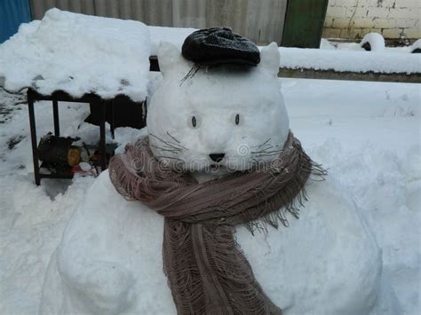 Snowman cat stock photo. Image of snow, sculpture, outdoors - 237833584