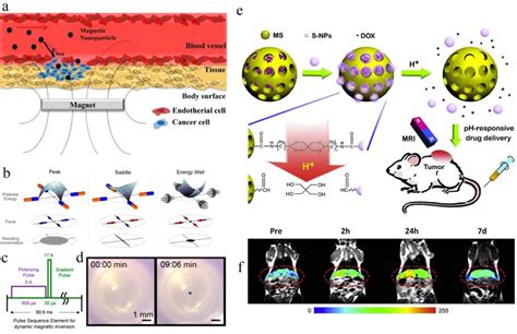 A Schematic Representation Of Magnetic Nanoparticle Based Drug