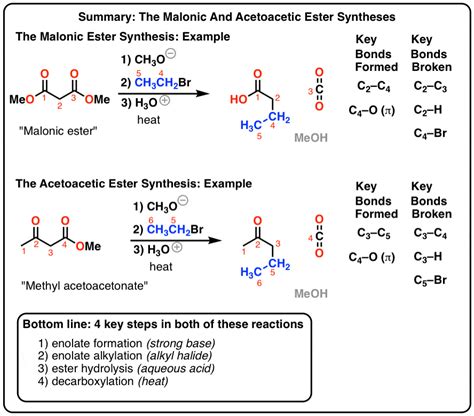 The Malonic Ester And Acetoacetic Ester Synthesis Master Organic Chemistry