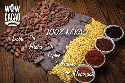 ШЛЯХ КАКАО ВІД БОБА ДО ПОРОШКУ - WOW Cacao