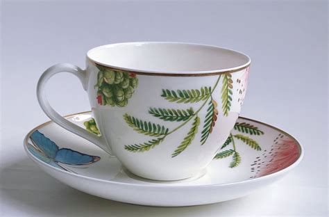 Tee Kaffee Tasse Untertasse Set Villeroy Boch Amazonia Kaufen