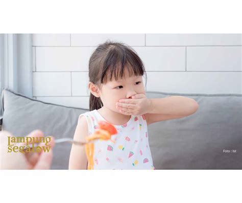 ANAK SUSAH MAKAN PERLU DI KASIH VITAMIN? | lampungsegalow.co.id