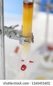 Column Chromatography Chemistry Lab Education Stock Photo 1165451602 ...