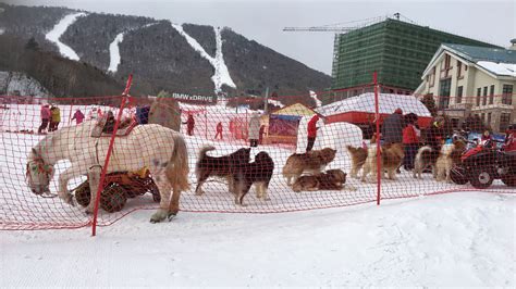 Exploring The Winter Wonderlands of Heilongjiang, China