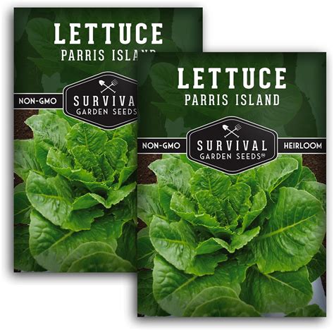 Paquete De Semillas De Lechuga Parris Island Cos Para Plantar