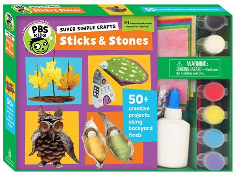 Super Simple Crafts: Sticks and Stones | Book by Editors of PBS KIDS ...