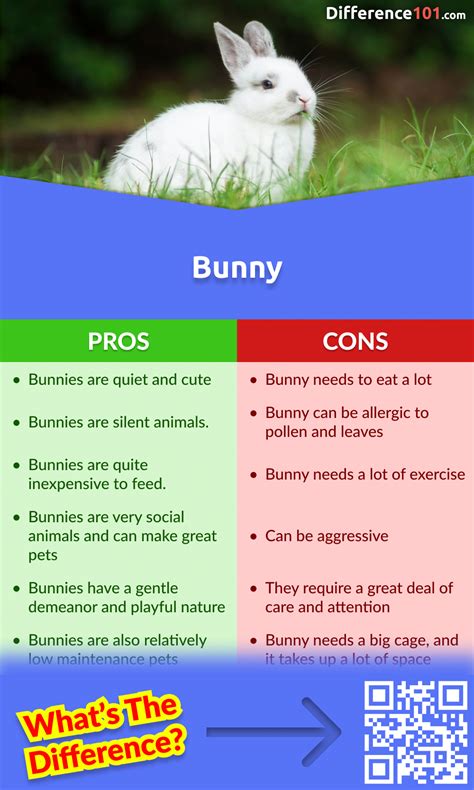 Bunny vs. Rabbit: 5 Key Differences, Pros & Cons, Similarities | Difference 101