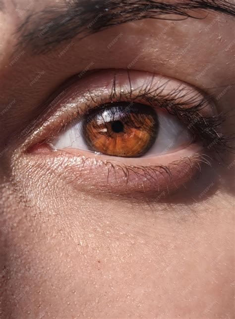 Premium Photo Close Woman Eye Images Beautiful Brown Color Of The Iris Of The Eye Woman Eye Images