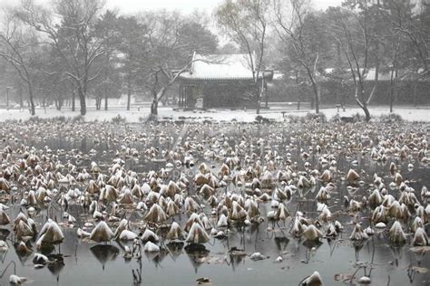 河北承德：避暑山庄雪景如画 人民图片网