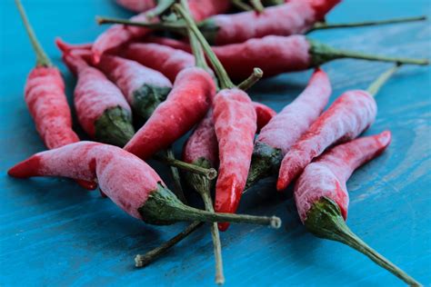 Chilis richtig trocknen Methoden Tipps für Zuhause