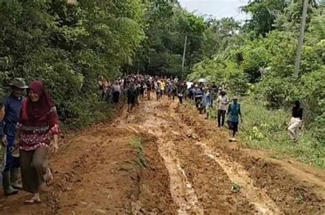 Warga Lebak Protes Jalan Rusak Tabur Lele Hingga Tanam Pohon Pisang Di